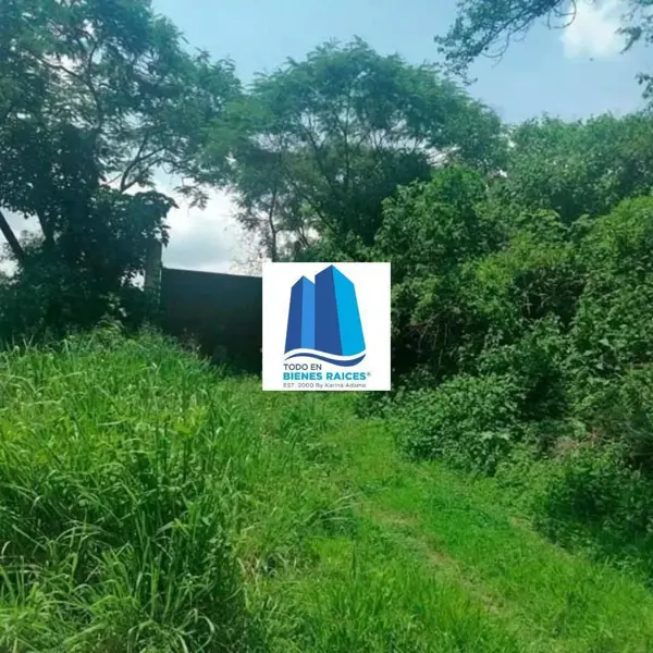 Terreno en venta en Tlayacapan, Tlayacapan — foto 3 de 6