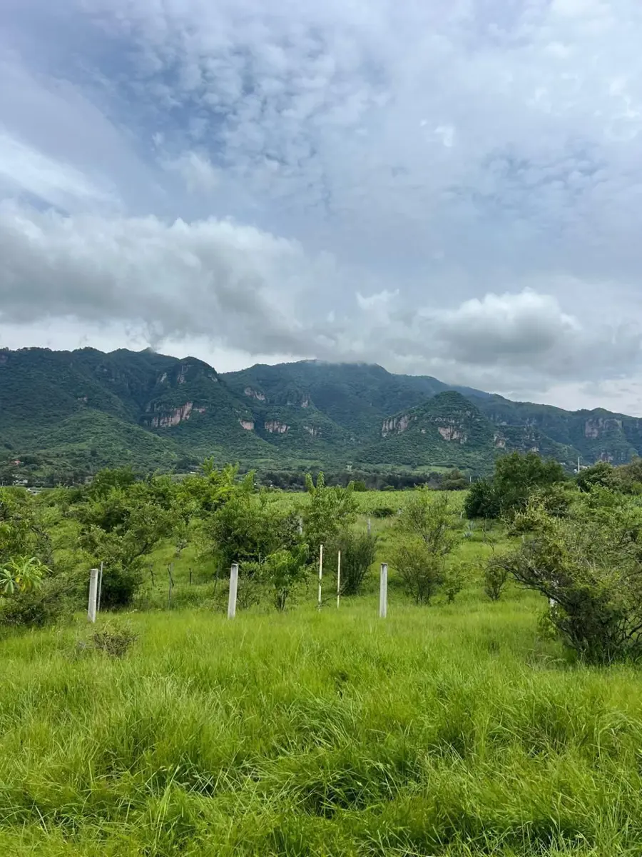 Terreno en venta en Puente Caporal (La Guancha), Malinalco — foto 1 de 7