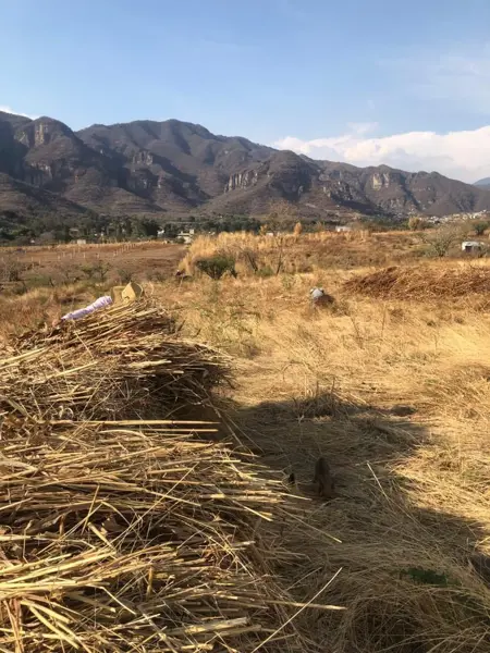 Terreno en venta en Puente Caporal (La Guancha), Malinalco — foto 3 de 7