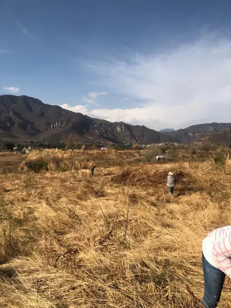 Terreno en venta en Puente Caporal (La Guancha), Malinalco — foto 2 de 7