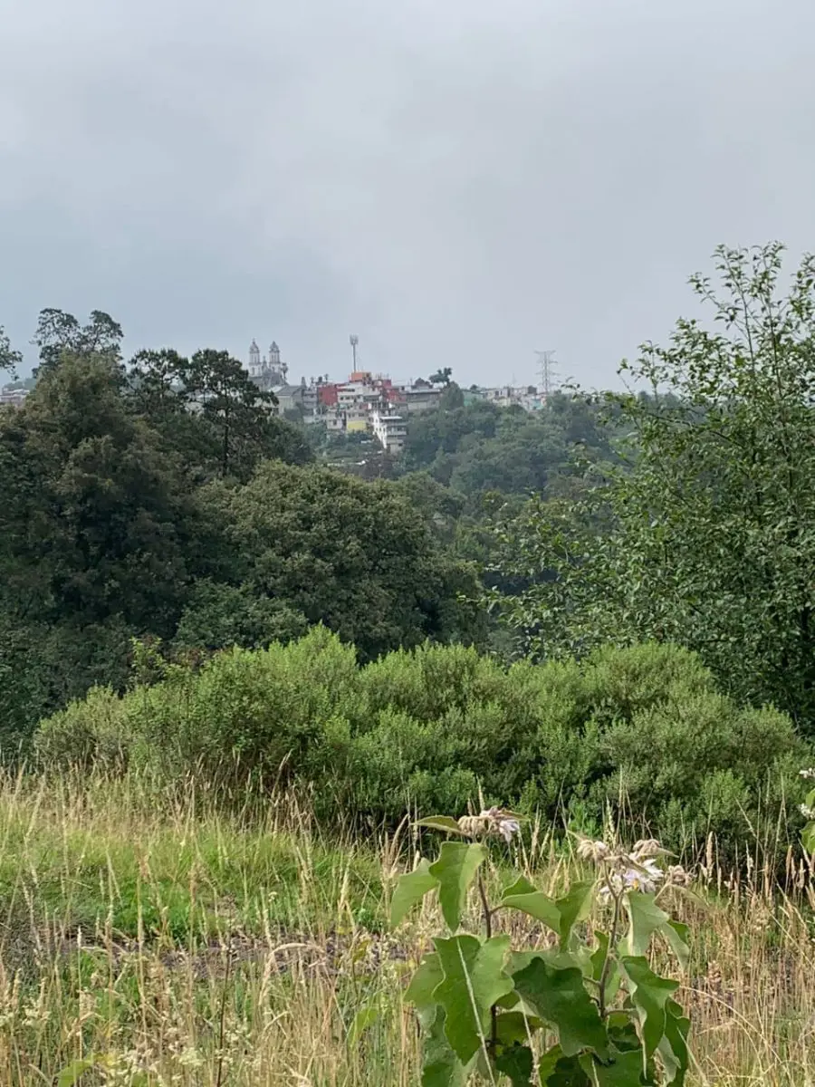 Terreno en venta en Lindavista, Teziutlán — foto 1 de 13