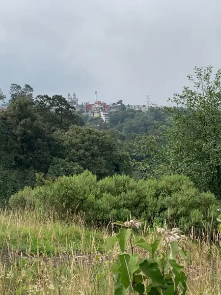 TERRENO EN VENTA, TEZIUTLAN PUEBLA