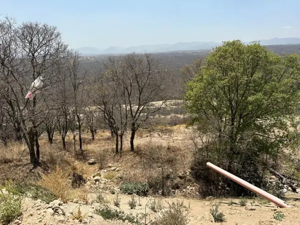 Terreno en venta en La Concepcion, Nicolás Romero — foto 3 de 7