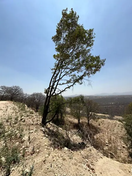 Terreno en venta en La Concepcion, Nicolás Romero — foto 2 de 7