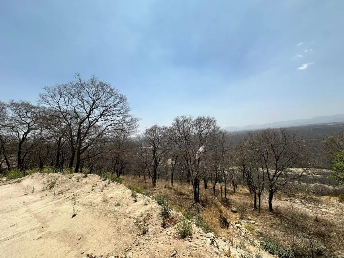 Terreno en venta en La Concepcion, Nicolás Romero — foto 1 de 7