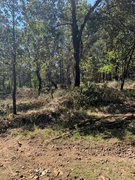 Terreno en venta en Tlalnepantla, Tlalnepantla — foto 2 de 18