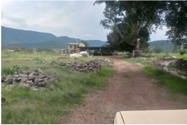 Finca-Rancho en venta en Zacoalco de Torres Centro, Zacoalco de Torres — foto 3 de 13
