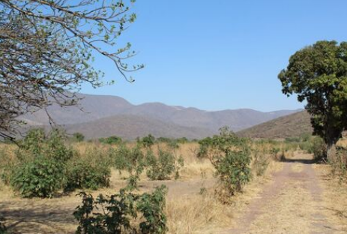 Finca-Rancho en venta en Zacoalco de Torres Centro, Zacoalco de Torres — foto 1 de 13