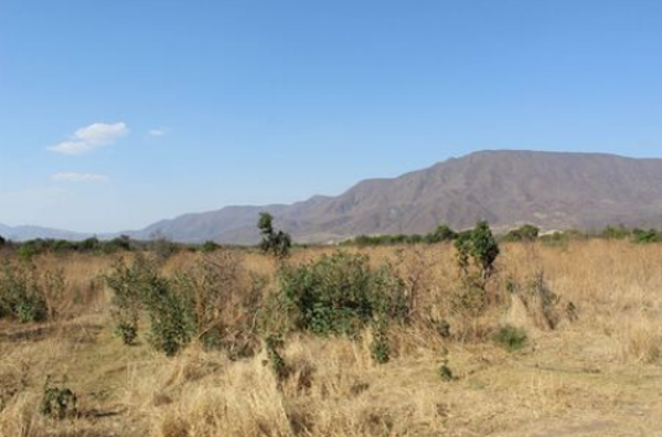 Finca-Rancho en venta en Zacoalco de Torres Centro, Zacoalco de Torres — foto 2 de 13