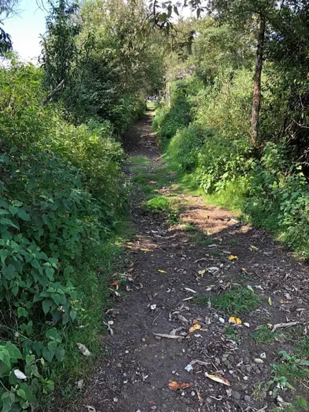 Terreno en venta en Los Laureles, Isidro Fabela — foto 3 de 9