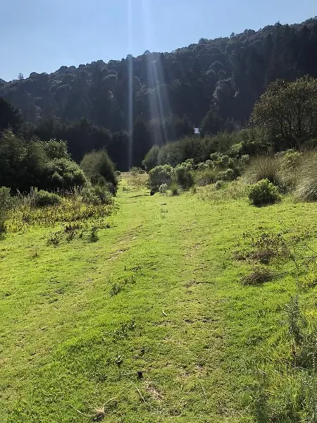 Terreno en venta en Los Laureles, Isidro Fabela — foto 2 de 9