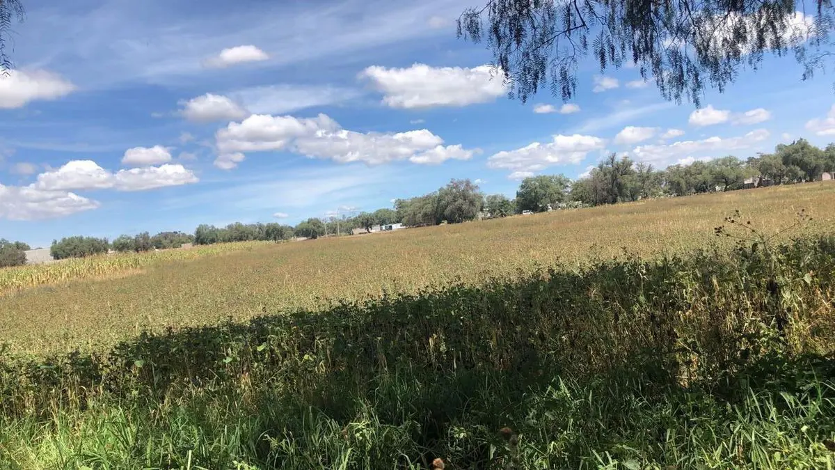 Terreno en venta en San Sebastian, Zumpango — foto 1 de 3