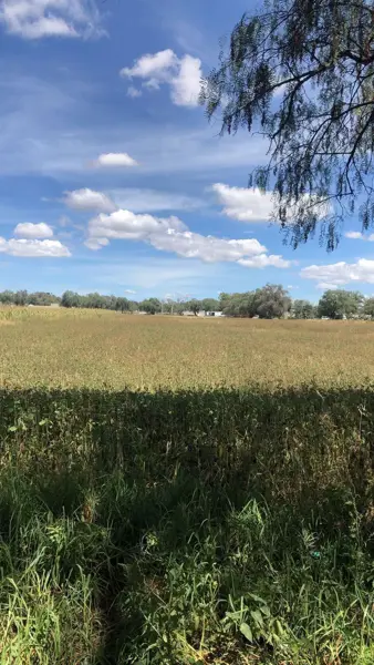 Terreno en venta en San Sebastian, Zumpango — foto 2 de 3