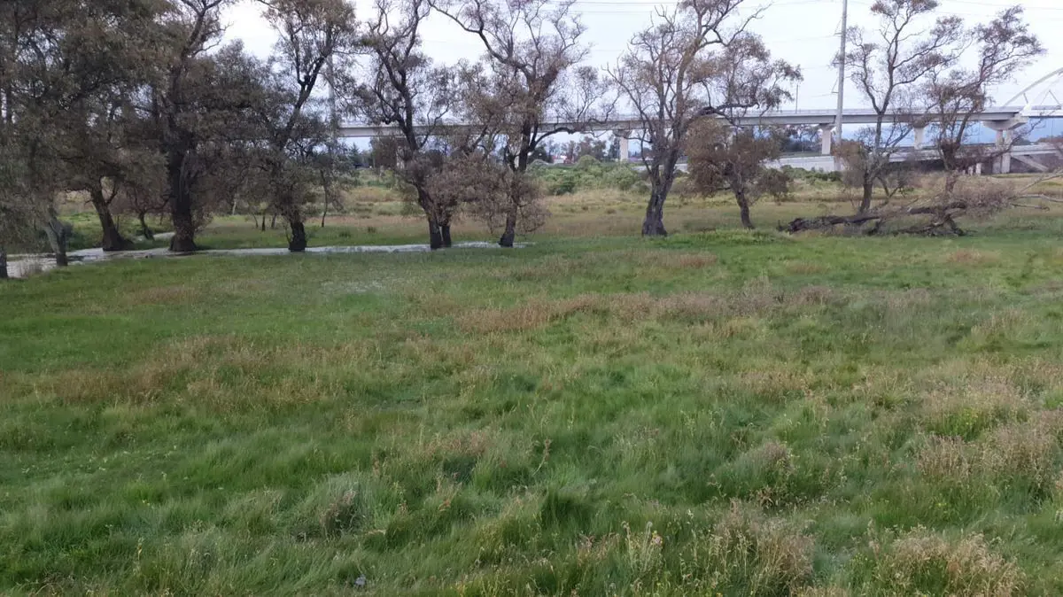 Terreno en venta en San Pedro Tultepec, Lerma — foto 1 de 4