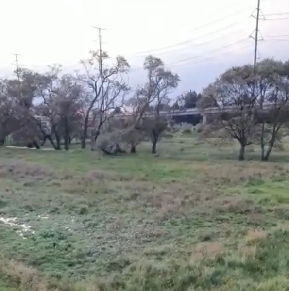 Terreno en venta en San Pedro Tultepec, Lerma — foto 2 de 4