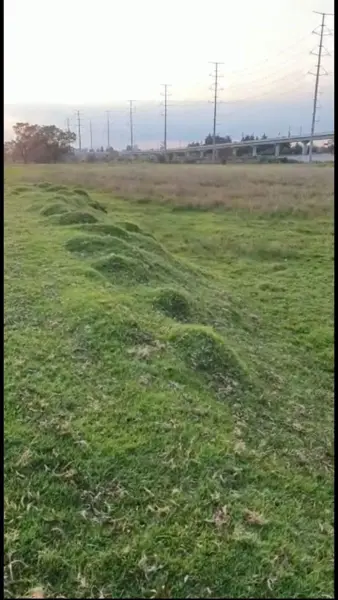 Terreno en venta en San Pedro Tultepec, Lerma — foto 3 de 4