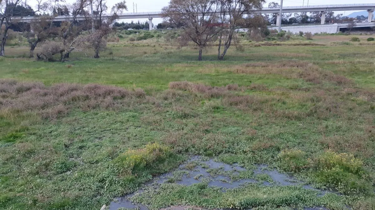 Terreno en venta en San Pedro Tultepec, Lerma — foto 1 de 4