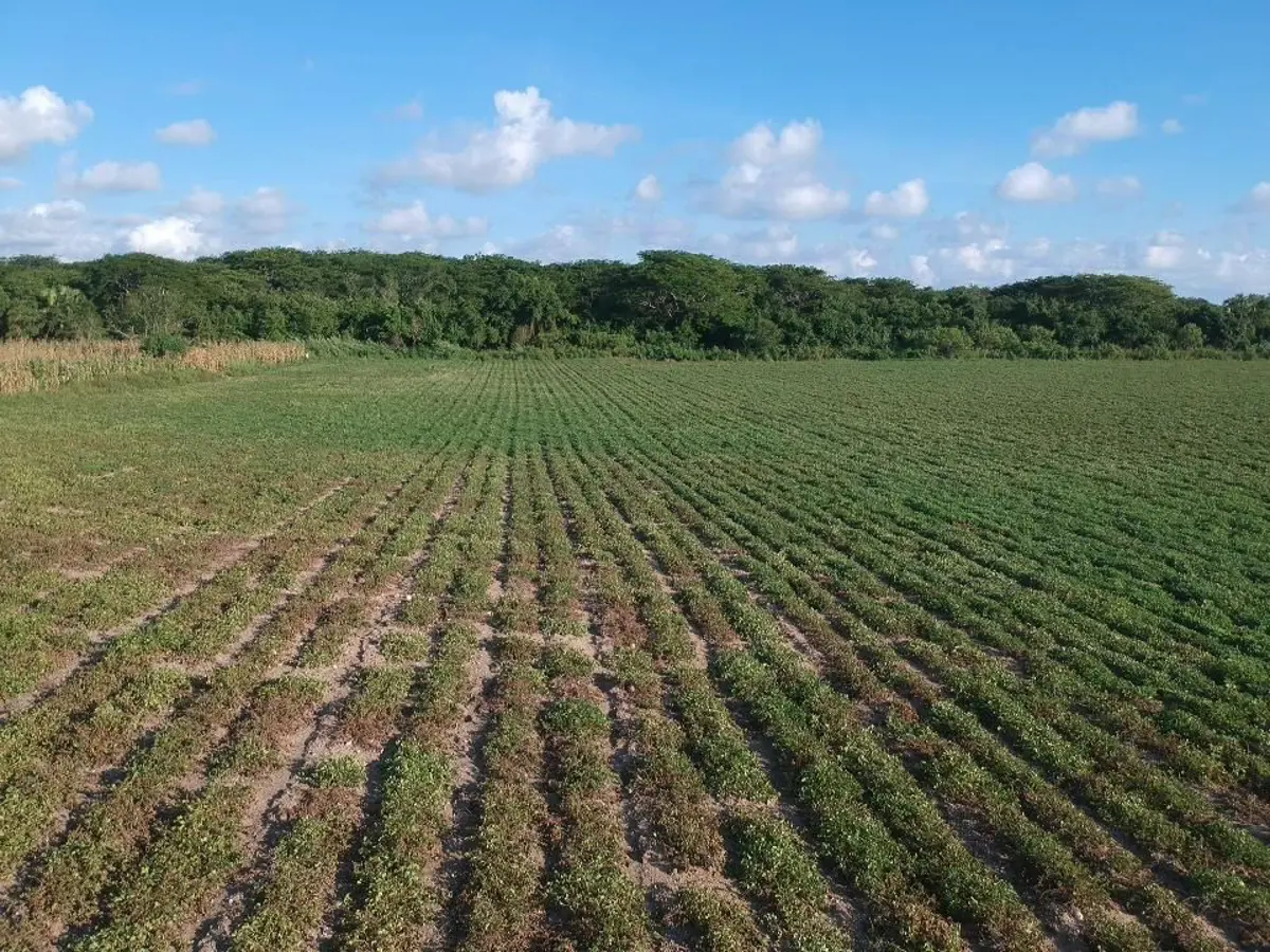 Terreno en venta en Santa María Tonameca, Santa María Tonameca — foto 1 de 19