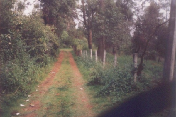 Terreno en venta en Huitzilac, Huitzilac — foto 3 de 9