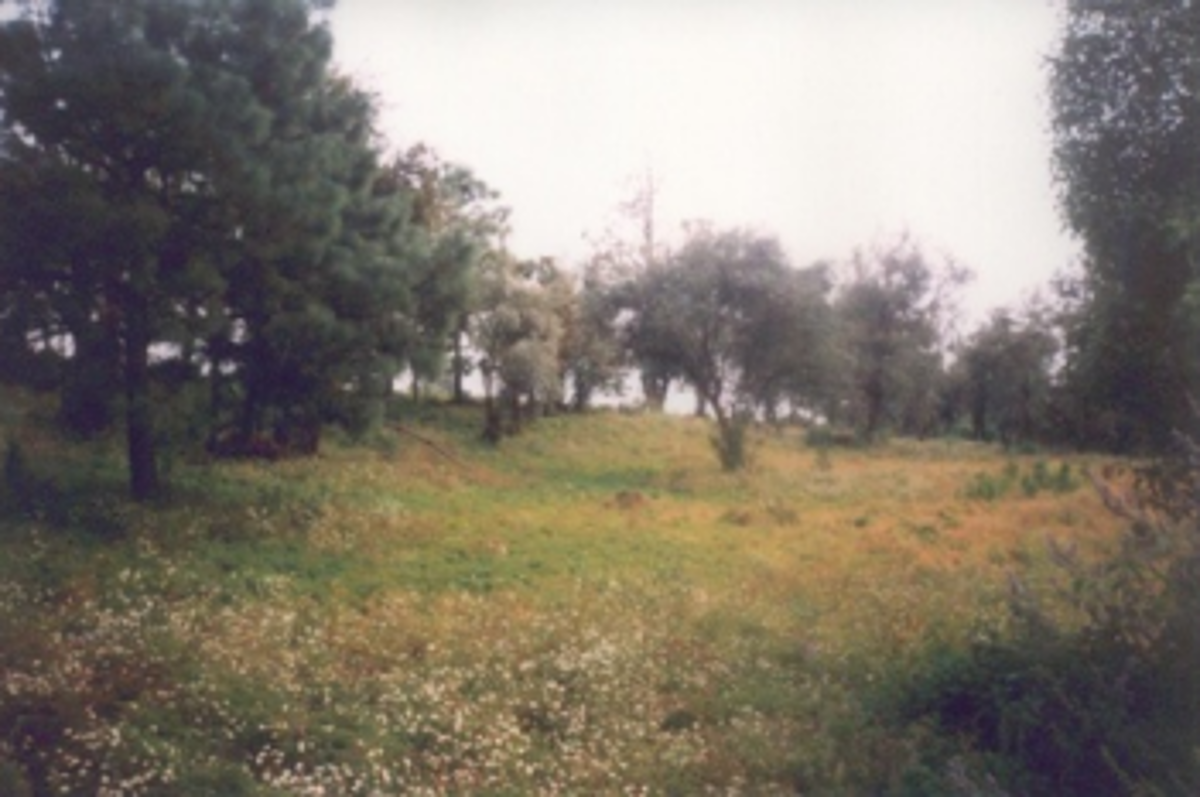 Terreno en venta en Huitzilac, Huitzilac — foto 1 de 9