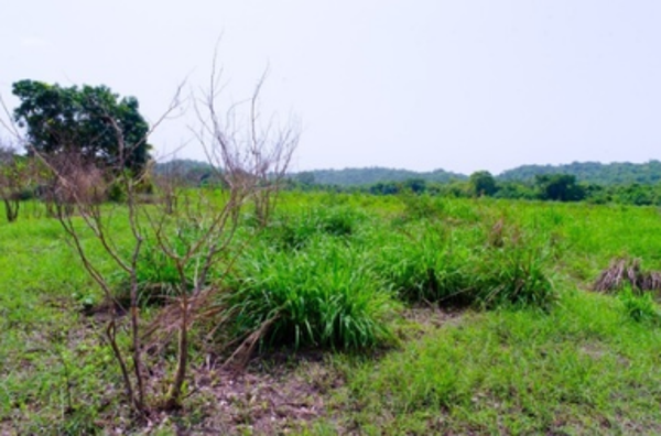 Terreno en venta en Bahías de Huatulco, Santa María Huatulco — foto 3 de 6