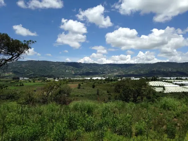 Terreno en venta en Villa Guerrero, Villa Guerrero — foto 2 de 13