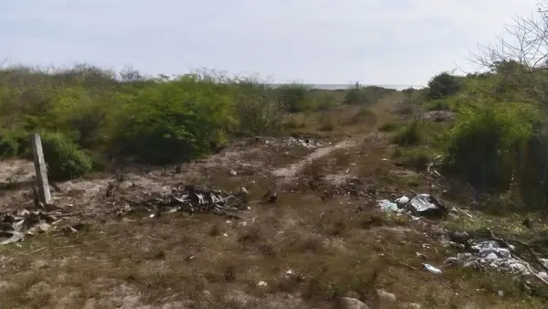 Terreno en venta en Novillero, Tecuala — foto 2 de 3