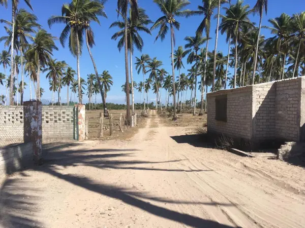 Terreno en venta en Novillero, Tecuala — foto 2 de 4