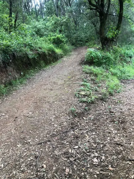Terreno en venta en Transfiguracion, Nicolás Romero — foto 3 de 6