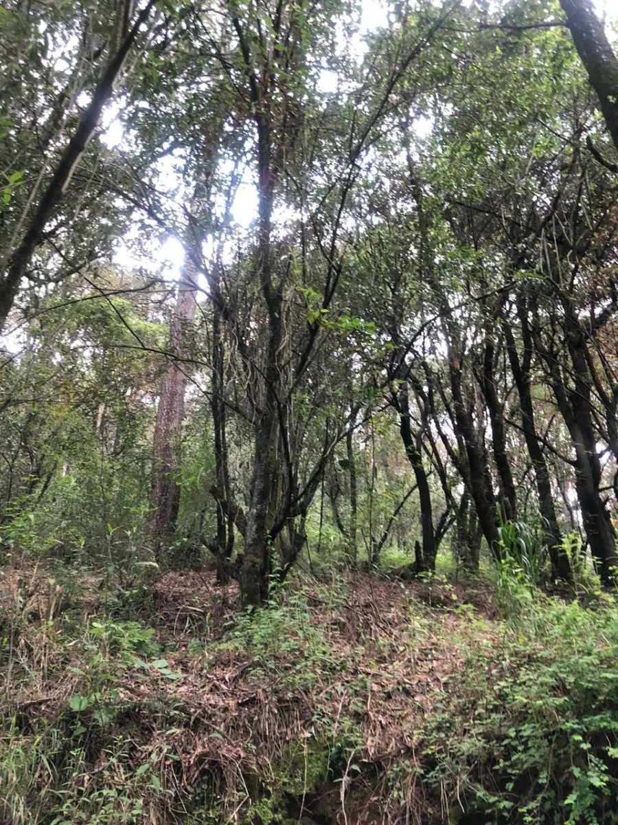Terreno en venta en Transfiguracion, Nicolás Romero — foto 1 de 6