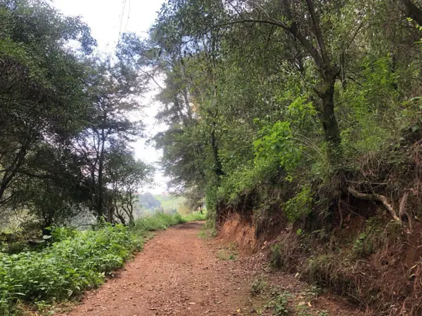 Terreno en venta en Transfiguracion, Nicolás Romero — foto 2 de 6