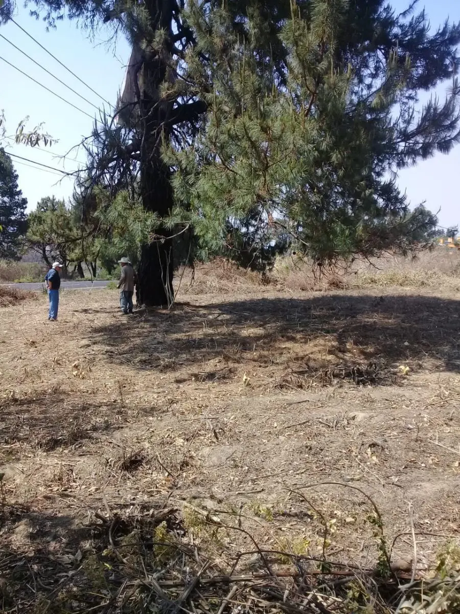 Terreno en venta en Centro, Cuautla — foto 1 de 9