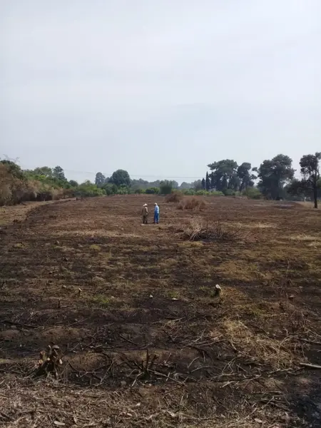 Terreno en venta en Centro, Cuautla — foto 3 de 9
