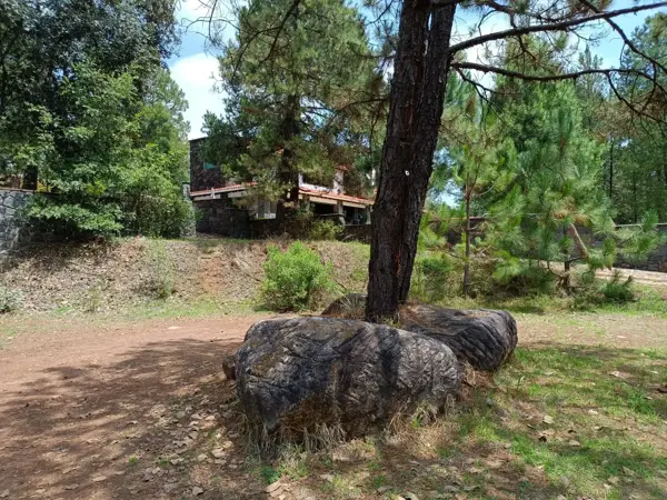 Terreno en venta en Bermúdez, Huasca de Ocampo — foto 3 de 25