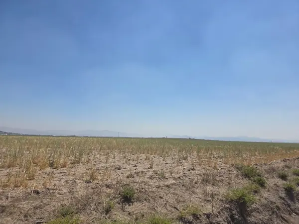 Terreno en venta en Jagüey de Tellez (estacion Tellez), Zempoala — foto 2 de 10