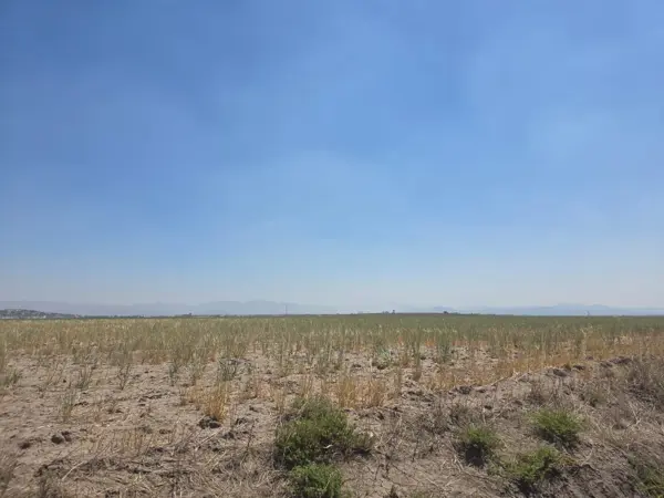 Terreno en venta en Jagüey de Tellez (estacion Tellez), Zempoala — foto 3 de 10