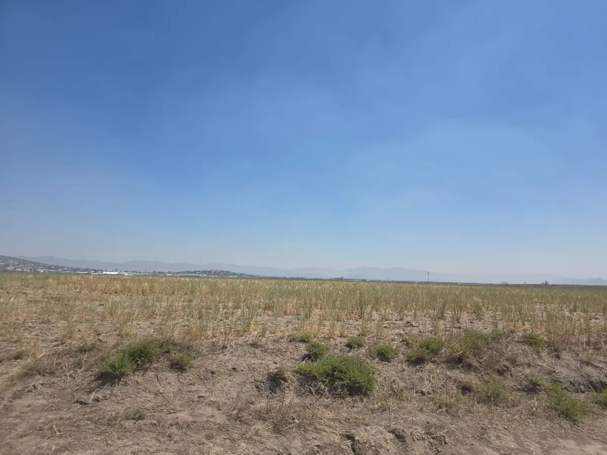Terreno en venta en Jagüey de Tellez (estacion Tellez), Zempoala — foto 1 de 10