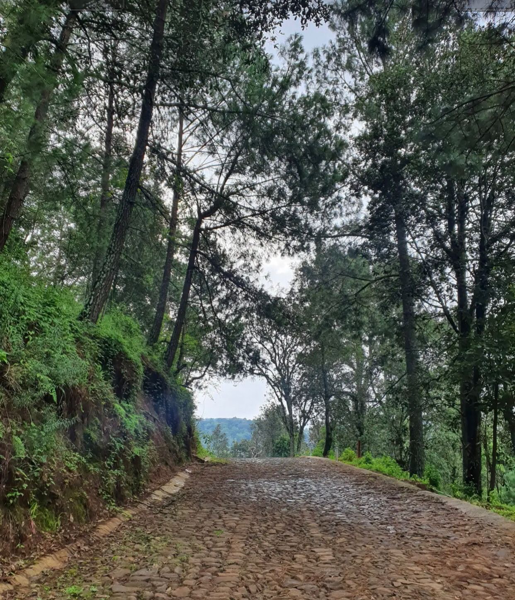 Terreno en venta en Mazamitla, Mazamitla — foto 2 de 6