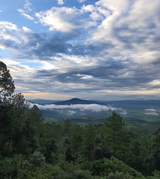Terreno en venta en Mazamitla, Mazamitla — foto 3 de 6