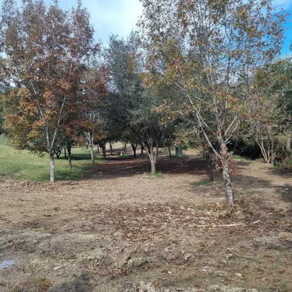 Terreno en venta en El Barrial, Santiago — foto 3 de 3