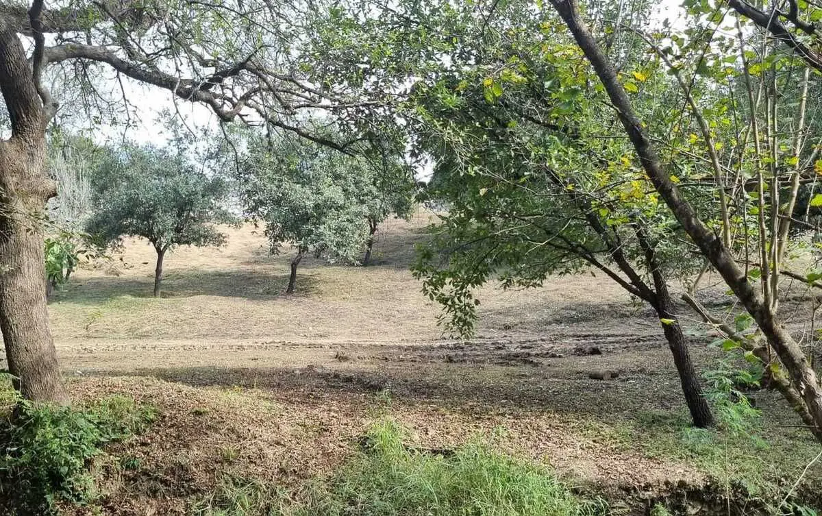 Terreno en venta en El Barrial, Santiago — foto 1 de 3