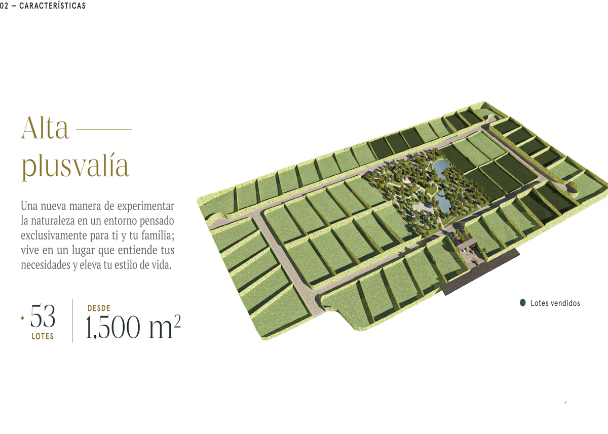 Terreno en venta en Canoas, Montemorelos — foto 1 de 9