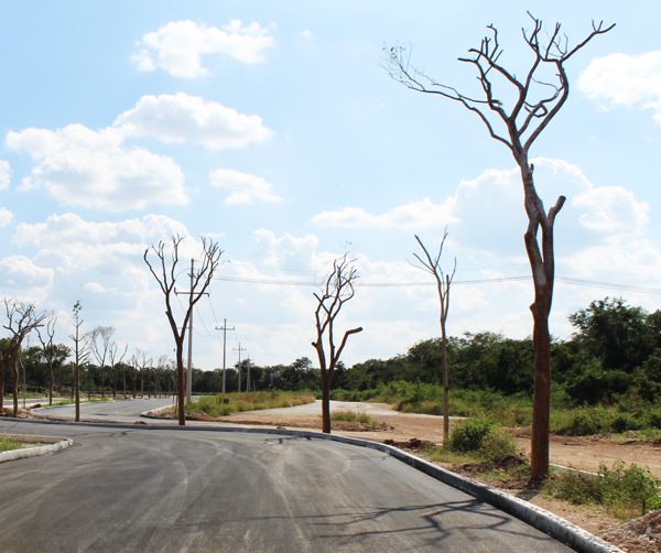 Terreno en venta en Ucu, Ucú — foto 3 de 7