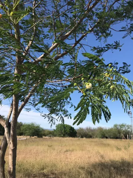 Terreno en venta en Privadas San Juan, Cadereyta Jiménez — foto 3 de 9
