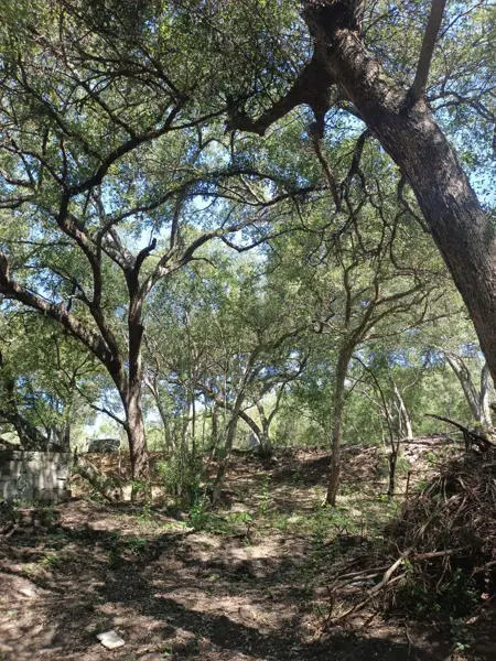 Terreno en venta en Canoas, Montemorelos — foto 2 de 12