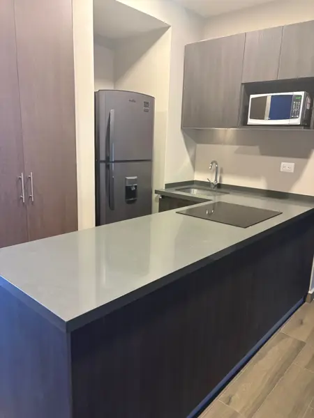 Departamento en renta en El Aguacatal, Santa Catarina — foto 2 de 8