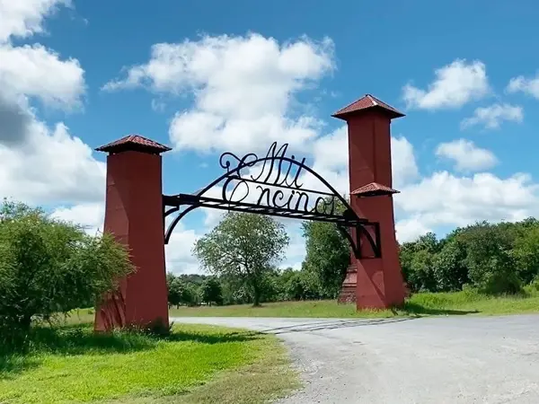 Terreno en Venta en El Pastor, Montemorelos, Nuevo León 3