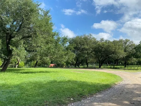 Terreno en Venta en El Pastor, Montemorelos, Nuevo León 1