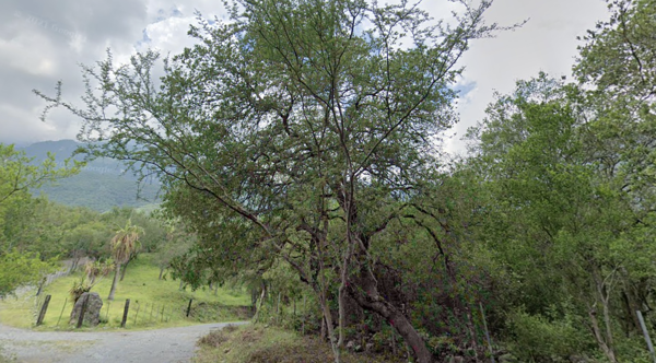Terreno en Venta en Villa Rosario, Santiago, Nuevo León 3