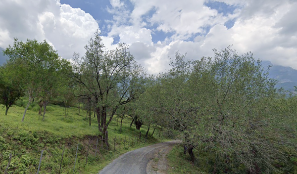 Terreno en Venta en Villa Rosario, Santiago, Nuevo León 1